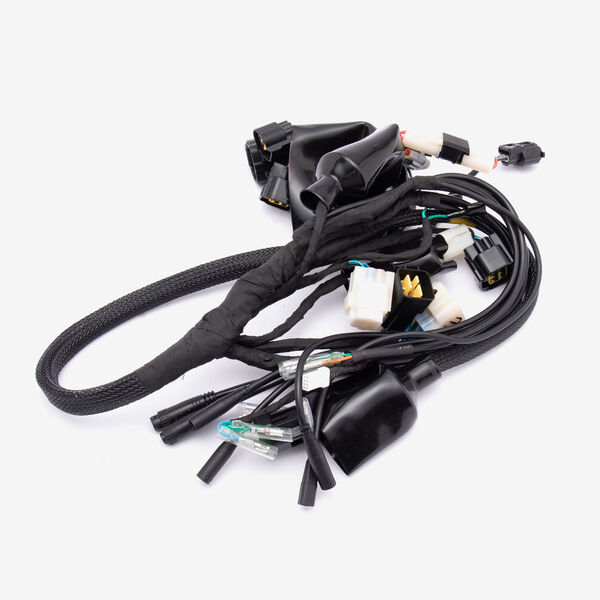 Wiring Loom